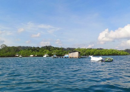 Swaraj Dweep (Havelock Island)